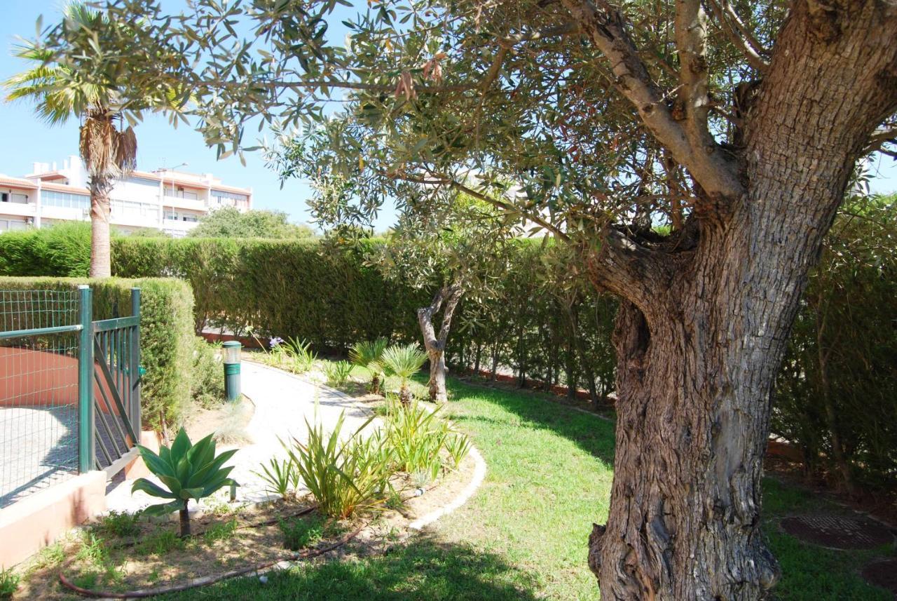 Beach Lounge Apartment Litoralmar Portimão Zewnętrze zdjęcie